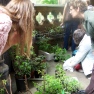 Picture of plant swap courtesy of Incredible edible